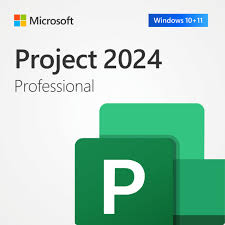 Microsoft Project Professional 2024